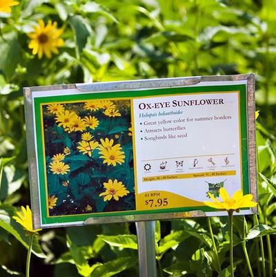 Build Your Plant Library