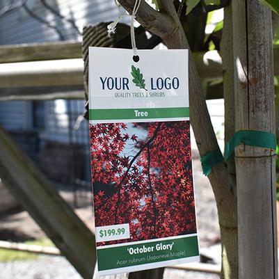 Plant Hang Tags