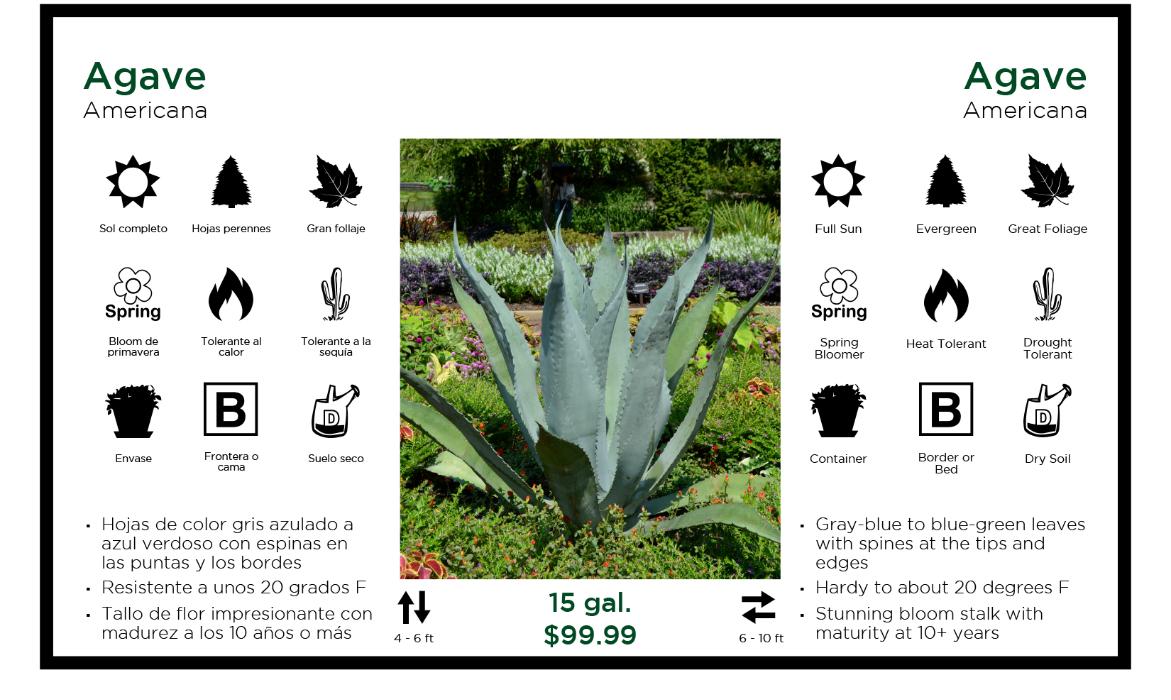 Create Your Own Printable Plant Bench Cards Create Your Own Printable Plant Bench Cards