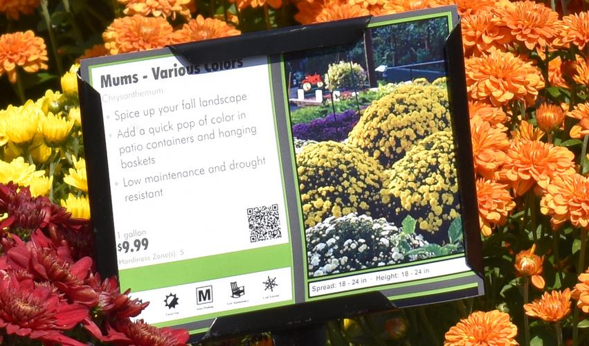 Increase Sales and Website Traffic with QR Codes on Your Bench Cards