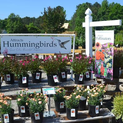 47x12 Attracts Hummingbirds and 18x36 Attracts Pollinators-White