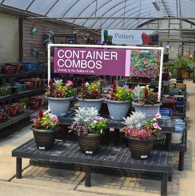 48x12 Container Combos-Bold-Pottery Signs in Background