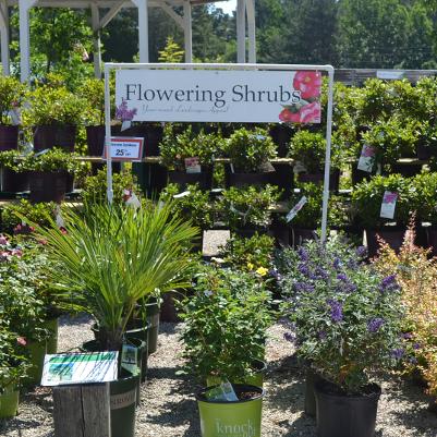 48x12 Flowering Shrubs Coroplast Sign