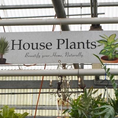 48x12 House Plants Coro Sign in PVC Frame