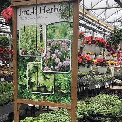 24 x 36 Fresh Herbs Coroplast Sign in Wooden Stand