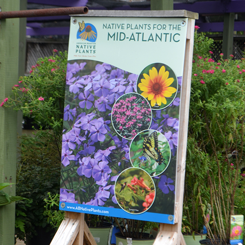 24 x 36 Native Plants for the Mid-Atlantic Coroplast Sign