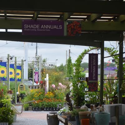 Gateway Gardens Shade Annuals Display