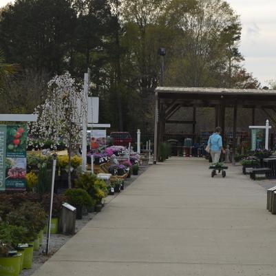 Fairview Gardens Outdoor Walkway