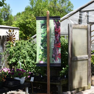 Fresh Herbs & House Plants - Outside Greenhouse