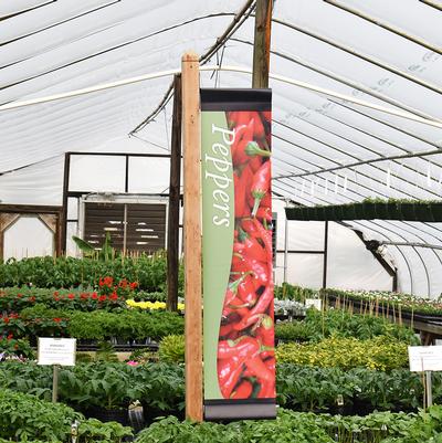 Peppers Sign in Greenhouse