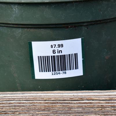 Pricing Label with Barcode