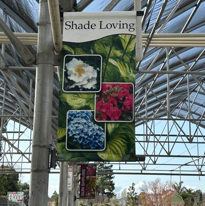 Shade Loving - Traditional Design