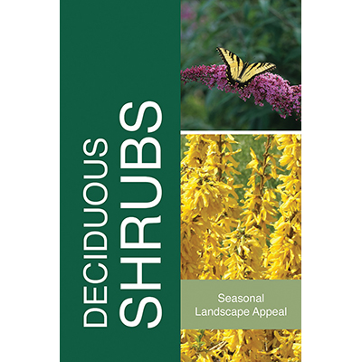 Deciduous Shrubs