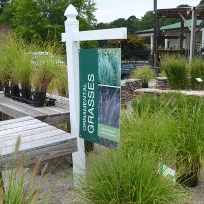 24x36 Ornamental Grass Sign on 6' Vinyl Post