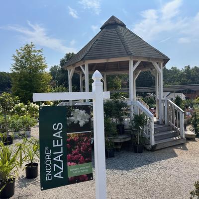 24x36 Azaleas Sign on Vinyl Post in front of Gazebo