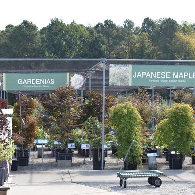 Fairview Garden Center - September 24, 2025