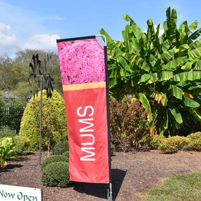 8.5' MUMS Feather Flag