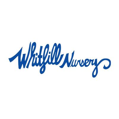 Whitfill Nursery