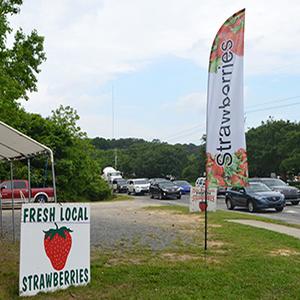 Feather Flags