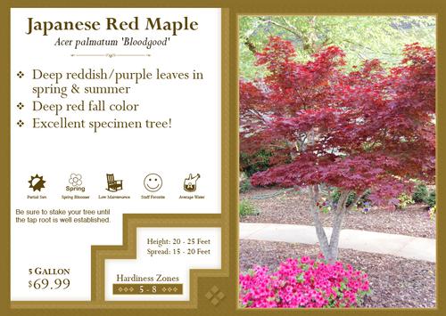 garden-center-marketing-s-bench-card-sizes-and-styles