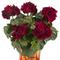 Pelargonium peltatum Great Balls of Fire&trade; Merlot