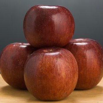 Malus domestica 'Winecrisp™' PP20,437