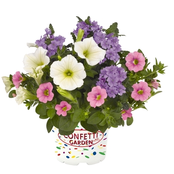 Hanging Basket 'Hunny Bunny' (069640)