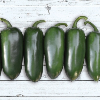 Capsicum annuum 'Emerald Fire' 