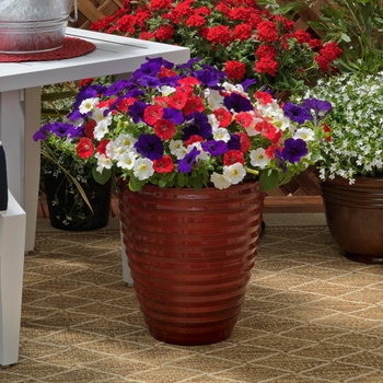 Combination Planter 'United™ Mix' 