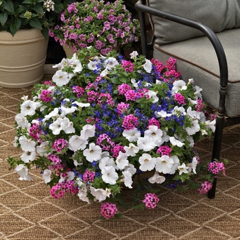 Combination Planter Kwik Kombos™ 'Rock 'n' Roll™ Mix'