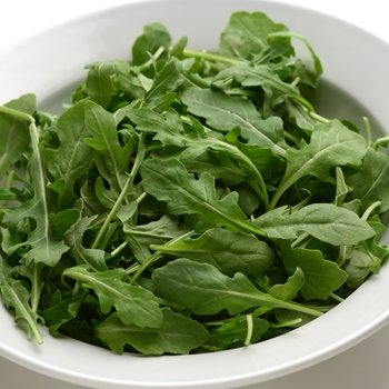 Eruca sativa SimplySalad®