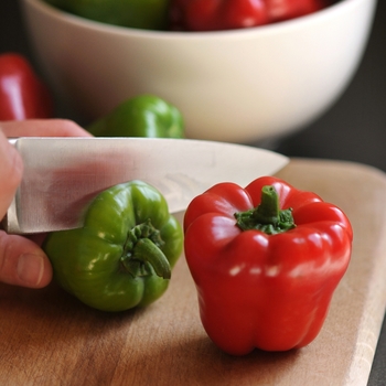 Capsicum annuum 'Cute Stuff Red'