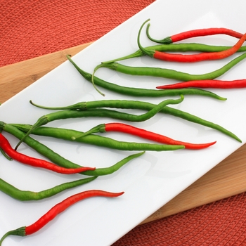 Capsicum annuum 'Gong Bao'