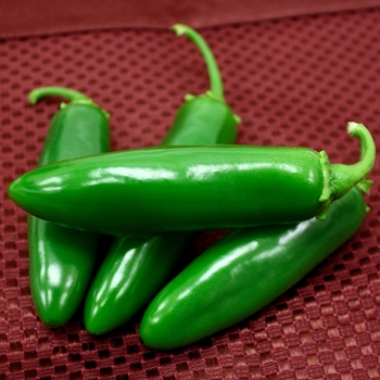 Capsicum annuum 'Spicy Slice'