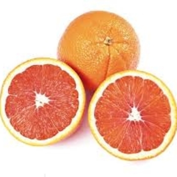 Citrus sinensis 'Cara Cara' 