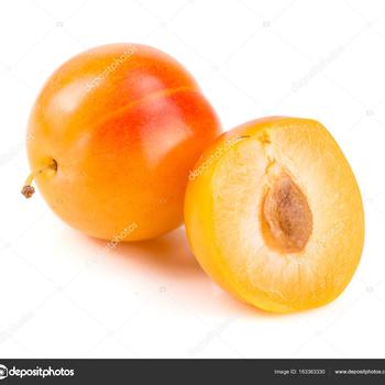 Prunus 'La Crescent' 