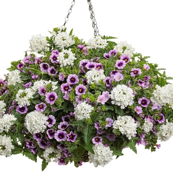 Combination Planter 'Pure Grace' 