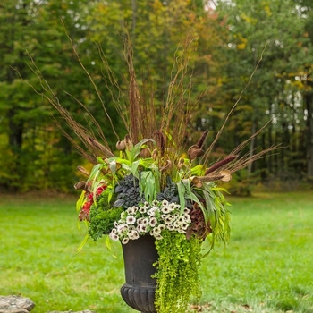 Combination Planter 'Scenic Byway' 