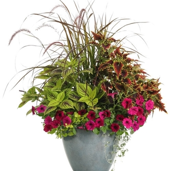 Combination Planter 'Madagascar' 