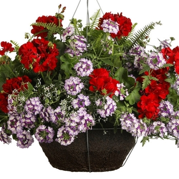 Combination Planter 'Patchwork'