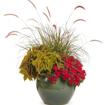 Combination Planter 'Classic Style'