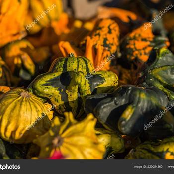 Cucurbita 'Gizmo' 