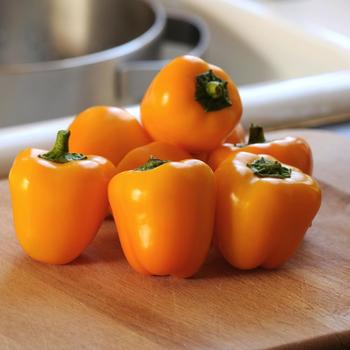 Capsicum annuum 'Cute Stuff Gold' 