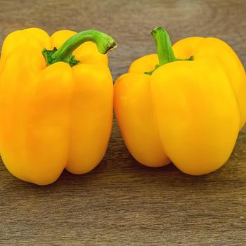 Capsicum annuum 'Golden California Wonder'