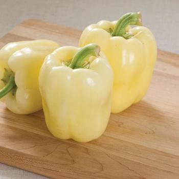 Capsicum annuum 'Blushing Beauty' 
