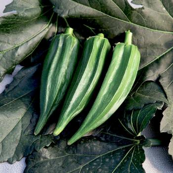 Abelmoschus esculentus 'Green Fingers' 