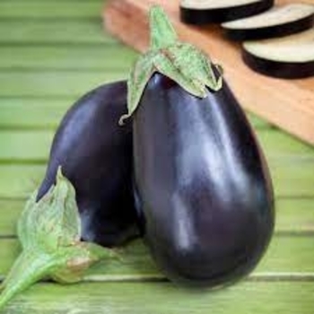 Solanum melongena 'Aubergine Amethyst' 