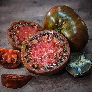 Lycopersicon esculentum 'Cherokee Purple' 