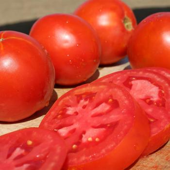 Lycopersicon esculentum 'Whopping Red'