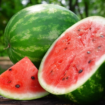 Citrullus lanatus 'Crimson Sweet' 